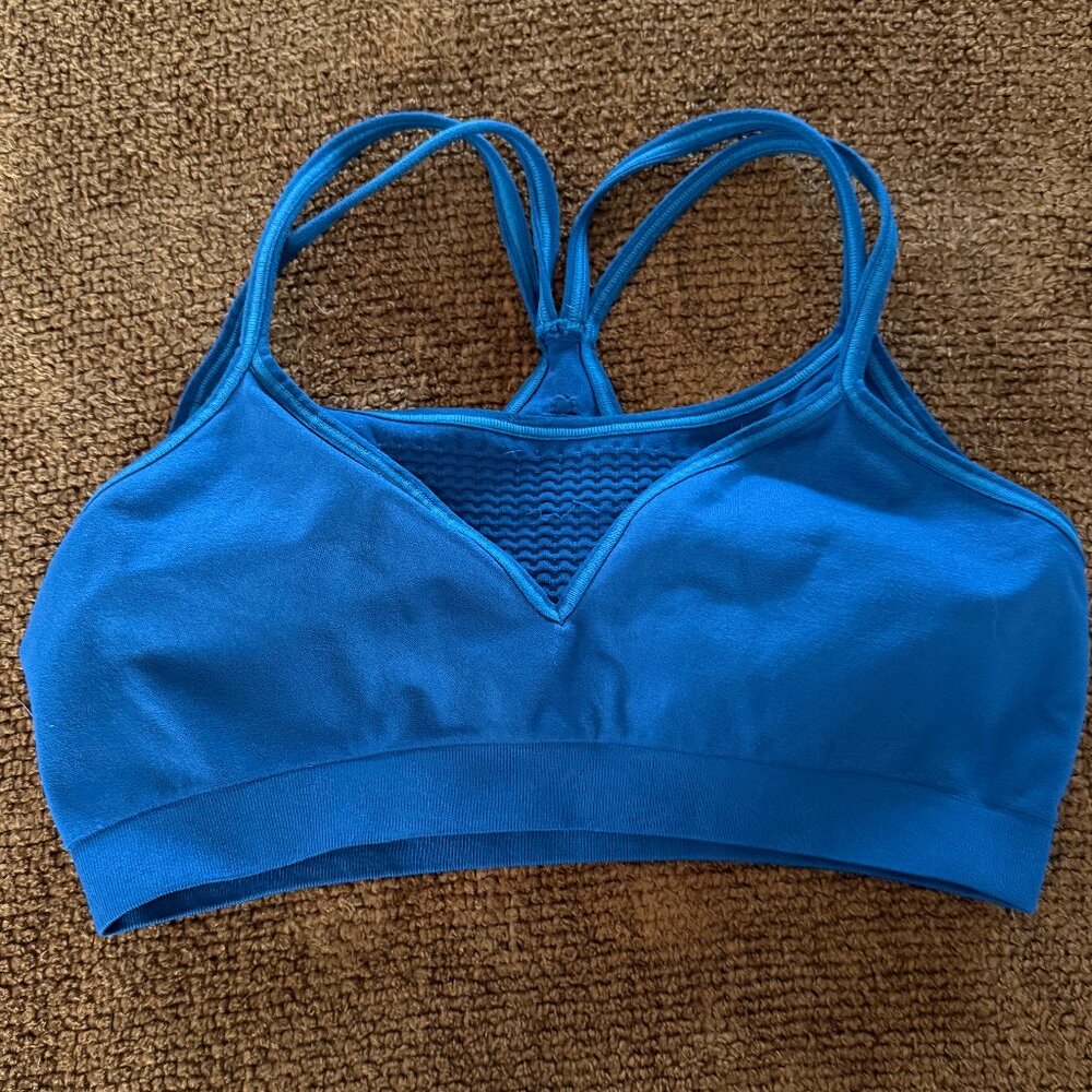 Vintage GAP Royal Blue Mesh Neck Double-Layer, Double Strap Seamless Bralette